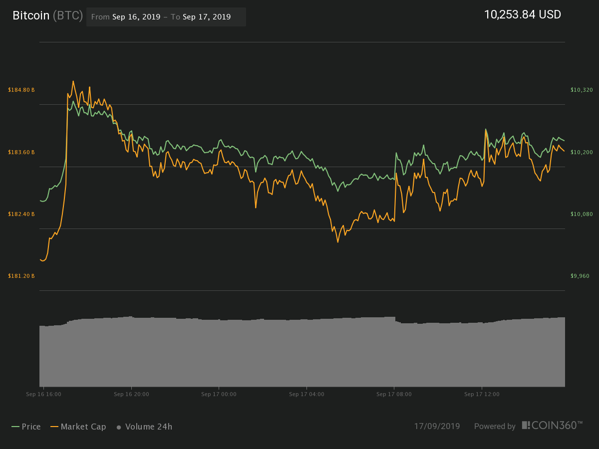 Bitcoin 24 hour price chart. Source: Coin360